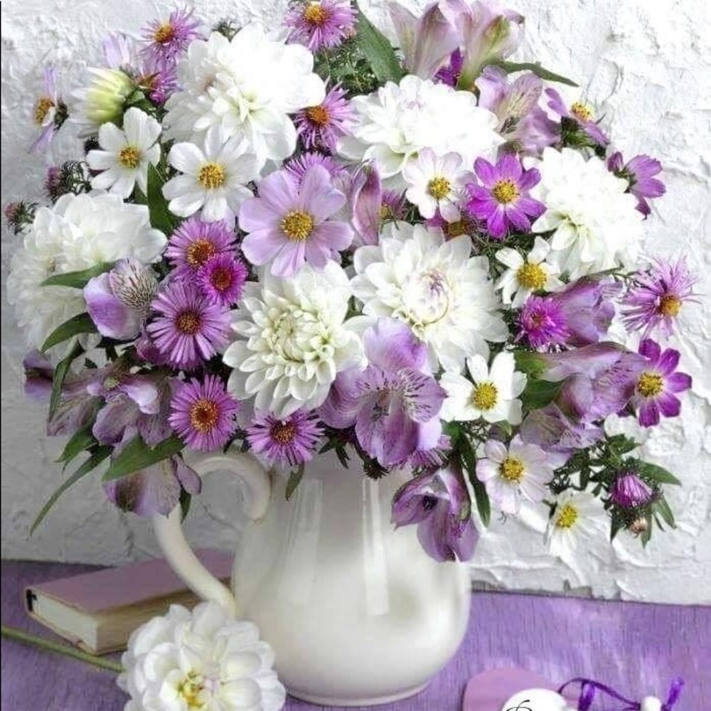 Meet your Posher, Elena